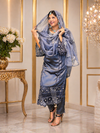 Pakistani Cutwork Suit with Organza Dupatta