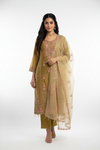 Olive Gold Organza Embroidered Suit